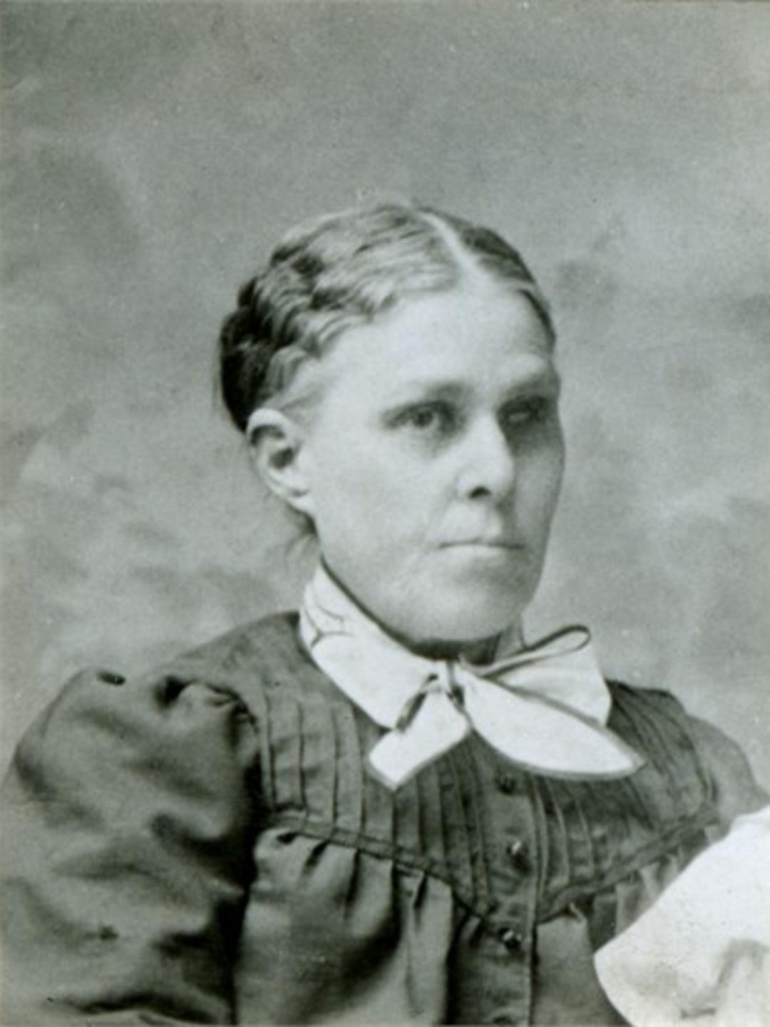 Sarah Ellen Ashton (1848 - 1912) Profile